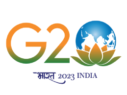 G20